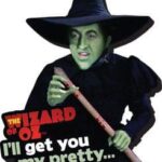 The Wizard of Oz Funky Chunky Magnet I'll Get You...