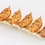 GYOZA PLASTIC MODEL KIT