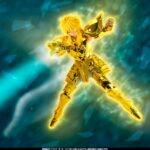 SAINT CLOTH MYTH EX AQUARIUS HYOGA INHERITOR OF THE GOLD CLOTH