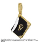 HP LUMOS CHARM 11 TOM RIDDLE DIARY