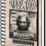 HP SIRIUS WANTED NOTEBOOK