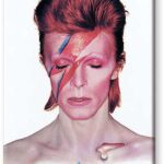 BOWIE ALADDIN SANE FLAT MAGNET