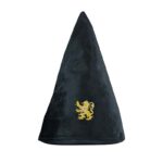 HP GRIFFINDOR STUDENT HAT