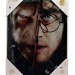 HP HALF FACE HARRY&VOLDEMORT GLASS POSTE