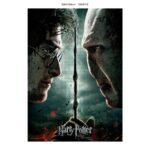 HP HARRY VS VOLDEMORT 1000PCS PUZZLE