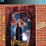 HP HERMIONE WOOD PRINT