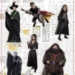 HP REAL CHARACTERS MAGENTS SET B