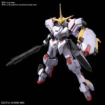 HG GUNDAM HAJIROBOSHI 1/144
