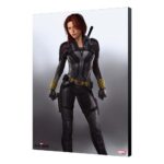 BLACK WIDOW MOVIE GREY WOOD PANEL