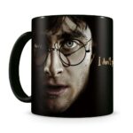 HP HARRY QUOTE MUG