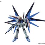 RG GUNDAM FREEDOM 1/144