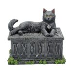 FORTUNE WATCHER TAROT BOX