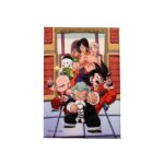 DRAGON BALL TOURNAMENT 54X78 MAGNET