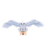 HARRY POTTER HEDWIG WALL PLAQUE 45CM