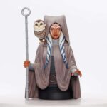 STAR WARS REBELS AHSOKA TANO 1/6 BUST