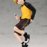 HIKARU NO GO HIKARU SHINDO PUP