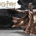 HARRY POTTER VOLDEMORT  AVADA KEDAVRA
