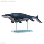 PLANNOSAURUS MOSASAURUS MK