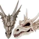 THE LAST DRAGON SKULL