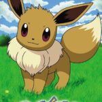 POKEMON - EEVEE - Maxi Poster #247 - 61x91 cm su carta da 150gr