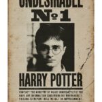 Harry Potter Undesiderable No.1 - Maxi Poster #185 - 61x91 cm su carta da 150gr