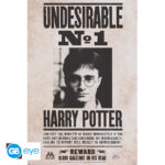 HARRY POTTER - Poster Maxi 91.5 1 - Undesirable n°1