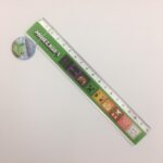 Minecraft - Righello in plastica 18cm - Panini