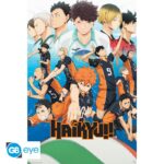 Haikyu!! S.1 - Maxi Poster #444 - 91x61cm