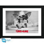 GREMLINS - Framed print "Gizmo" (30 0)