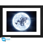 ONE PIECE - Framed print "Nika" (30 0)