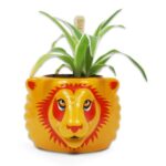 Harry Potter Grifondoro - Fioriera in Ceramica 9cm - Half Moon Bay