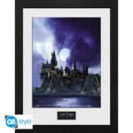 HARRY POTTER - Framed print "Hogwarts Painted" (30 0)