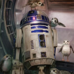 STAR WARS THE LAST JEDI - R2-D2 e PORGS - MAXI POSTER