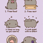 PUSHEEN - REASONS TO BE A CAT - MAXI POSTER