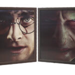 HARRY POTTER - HARRY VS VOLDEMORT -  Quadro Doppia Immagine 3D Lenticular 22x27cm Con Cornice in Legno