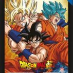 Dragon Ball Super Goku e Vegeta - Quadro Doppia Immagine 3D Lenticular