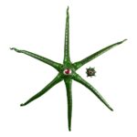 Marvel Legends Gamerverse Action Figure Gargantos 15 cm