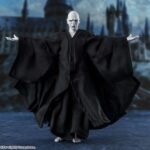 HARRY POTTER AND THE GOBLET OF FIRE LORD VOLDEMORT SHF