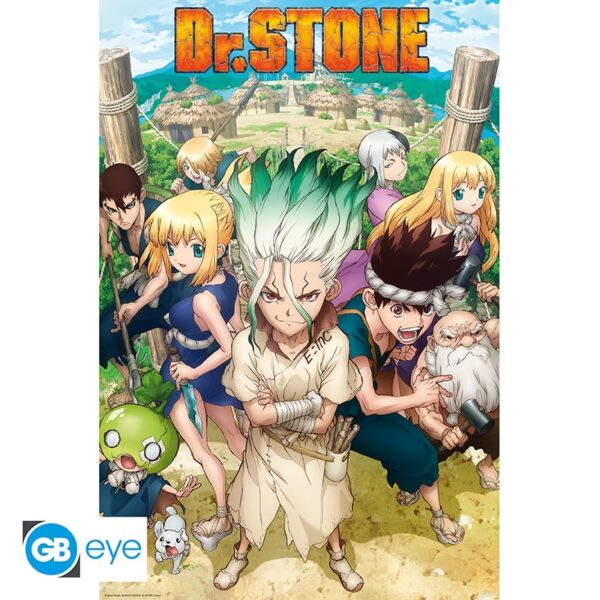 DR STONE - Poster Maxi 91.5 1 - Groupe *