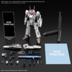HG VF-25F MESSIAH VALKYRIE ALTO CUSTOM DELUXE SET 1/100