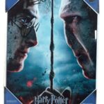 Harry Potter Glass Poster Harry & Voldemort 30 x 40 cm