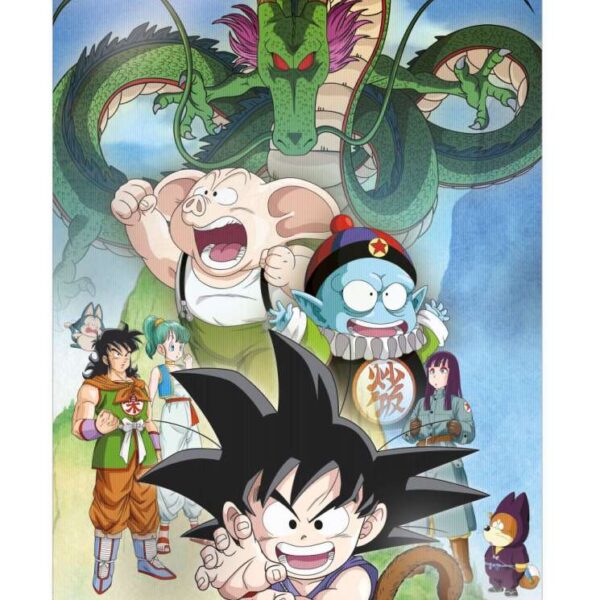 DRAGON BALL SHENRON AND HEROES 3D POSTER