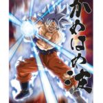 DRAGON BALL SUPER UNIVERSE SURVIVAL GOKU 38X58CM 3D POSTER