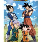 DRAGON BALL SUPER BATTLE OF GODS GOKU VEGETA FAMILY 38X58CM 3D POSTER