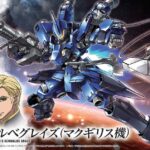 HG GRAZE MCGILLIS SCHWALBE 1/144