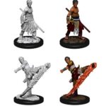 D&D Nolzur's Marvelous Miniatures Unpainted Miniatures Male Half-Elf Monk Case (6)