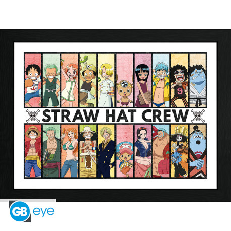 ONE PIECE - Framed print Past & Present