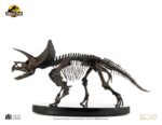 Jurassic World ECC Elite Creature Line Statue 1/12 Triceratops Fossil Skeleton Bronze 33 cm - immagine 2