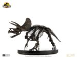 Jurassic World ECC Elite Creature Line Statue 1/12 Triceratops Fossil Skeleton Bronze 33 cm - immagine 3