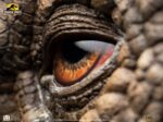 Jurassic Park Statue Triceratops Eye Prop (Reproduction) 35 cm - immagine 2